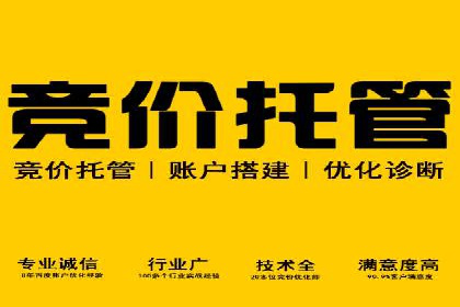 某某SEM服务公司案例：如何通过关键词优化提高网站流量